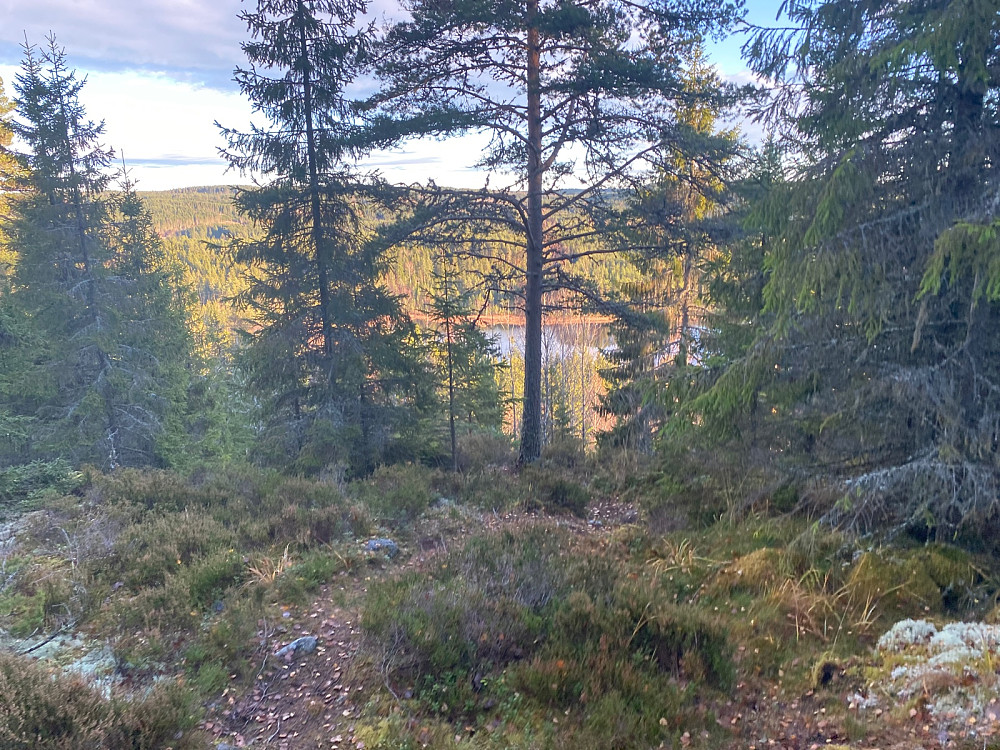 Utkikkspunkt på ca 340 moh