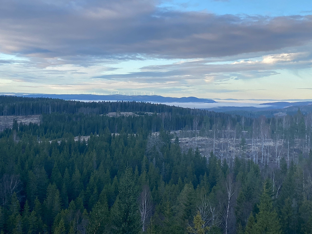 fra tårnet mot vindmøllene i Nord-Odal
