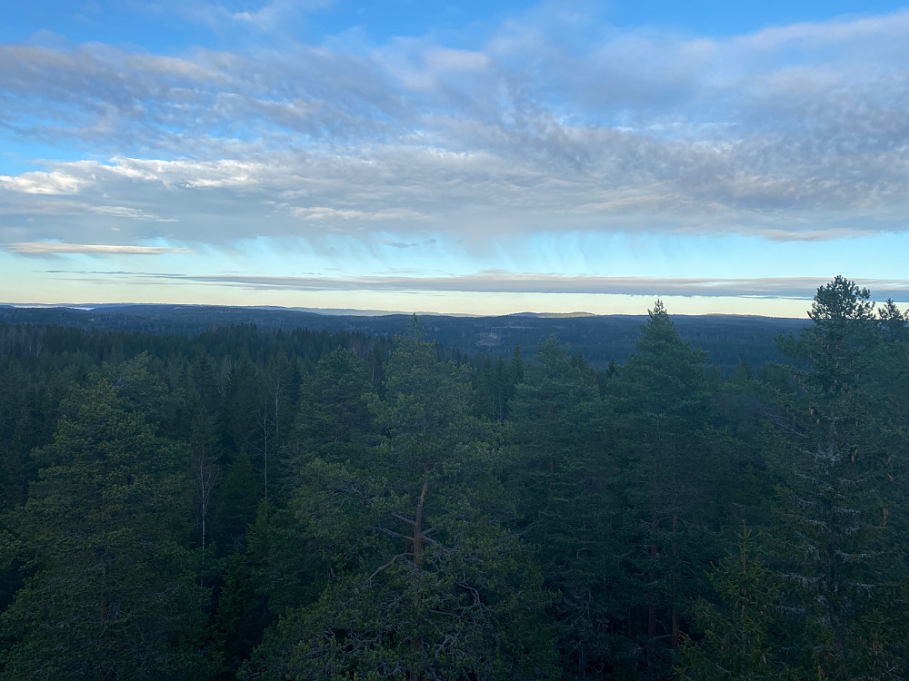 Utsikt fra tårnet
