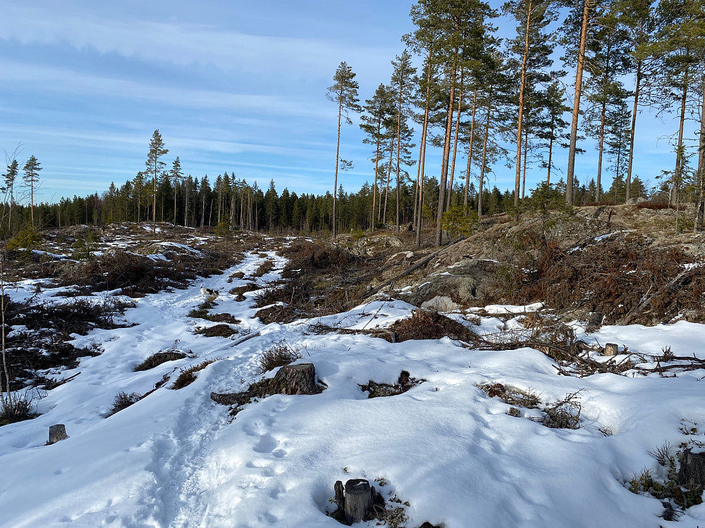 Fine forhold og blåmerket sti fra starten.