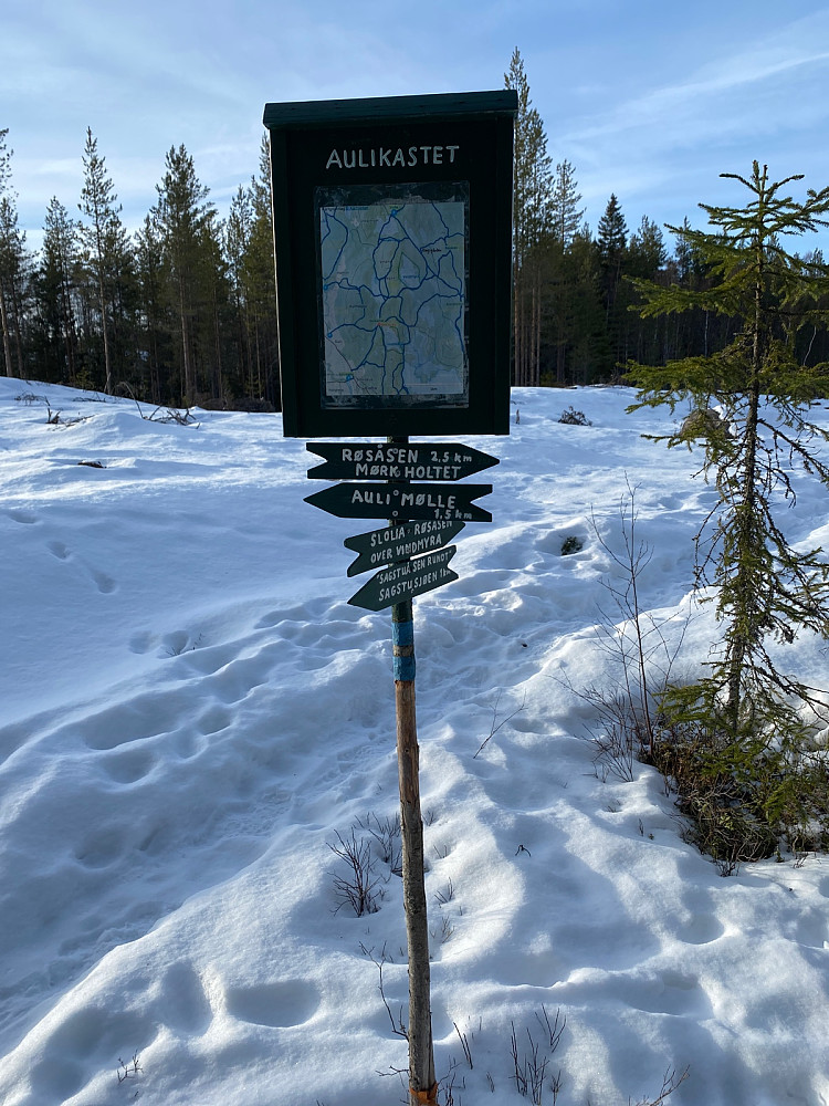 Aulikastet. Lettgått hele veien hit.