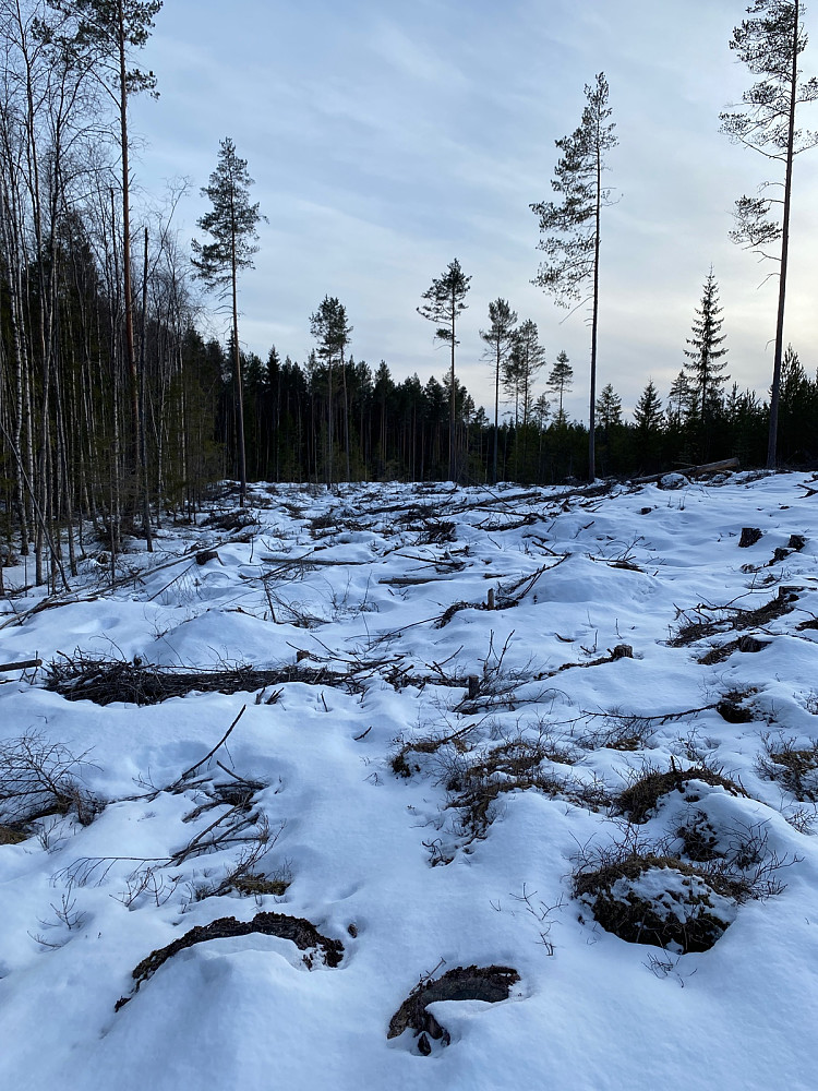 Leggebeindalen