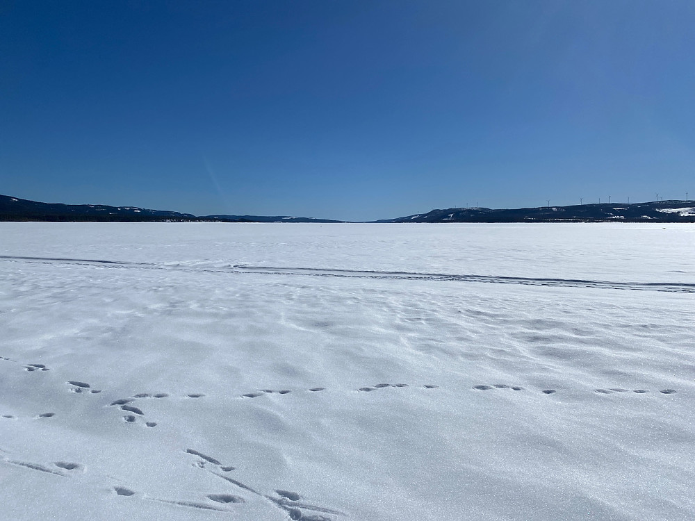 Osensjøen