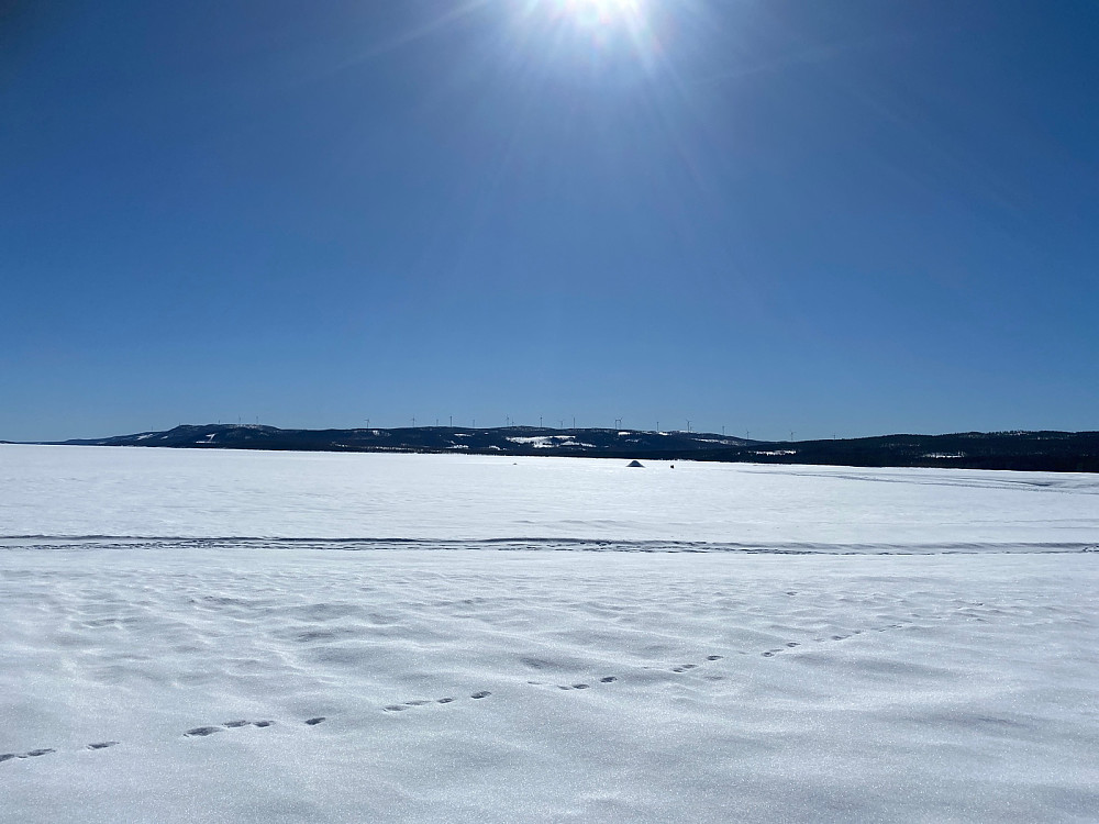 Fra nordenden av Osensjøen mot Raskifte. Folk på tur ut på den trygge isen