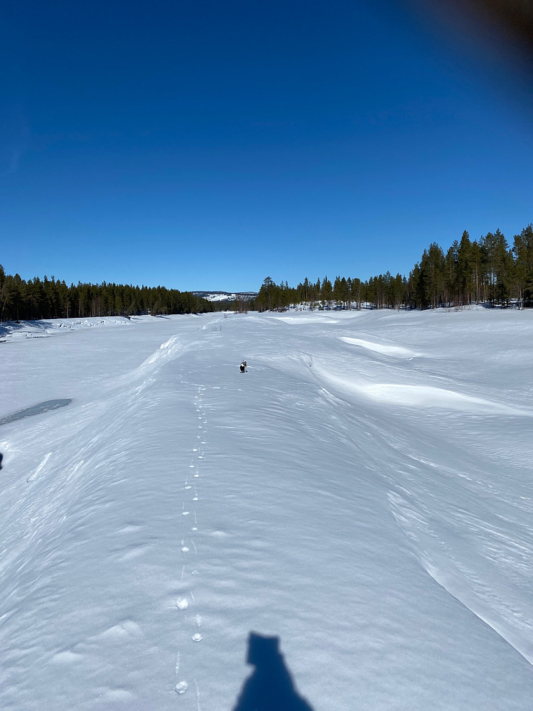 Mot Furutangen hyttefelt og Blikufjellet i bakkant