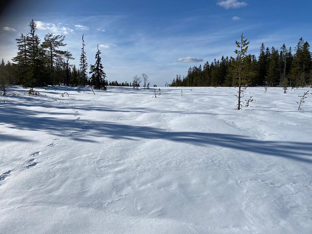 Storkjølen