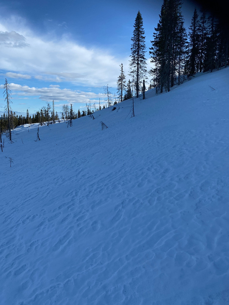 Her på ca 640 moh stoppet skisporet