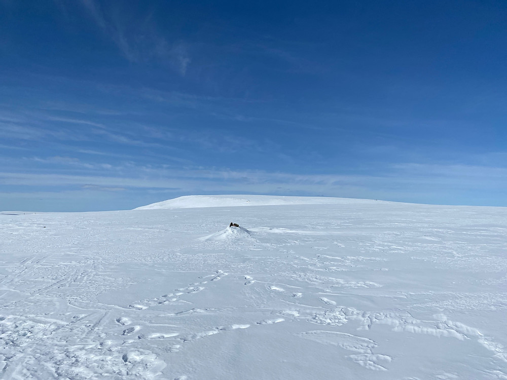Dagens mål fra ca 950 moh. Bare kosen igjen.