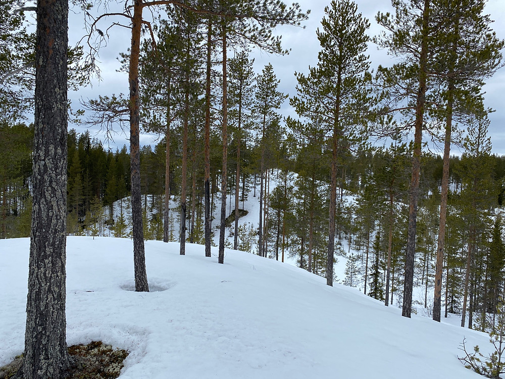 Mot Øst 2 fra Øst 3