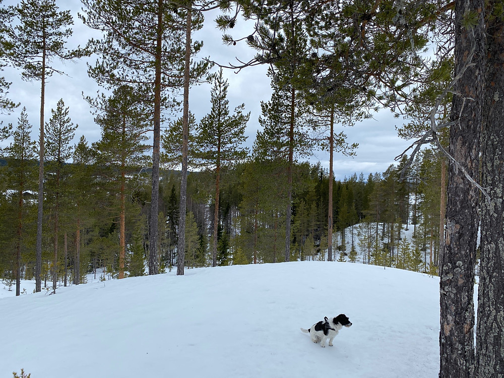 Mot Øst 1 fra Øst 3