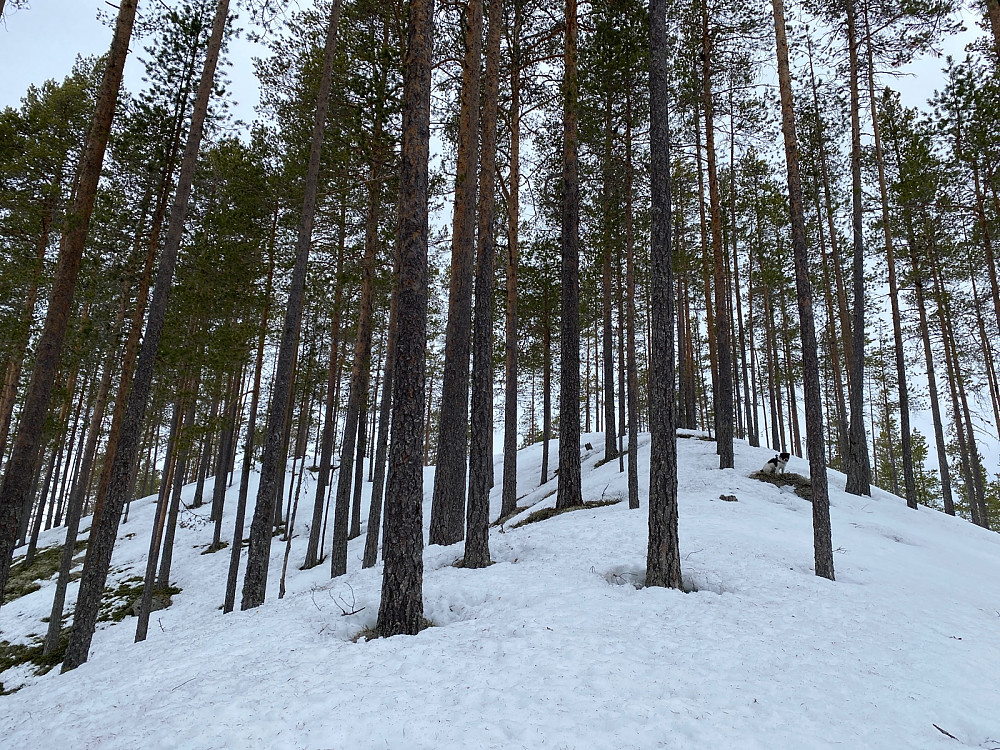 Mot Øst 1