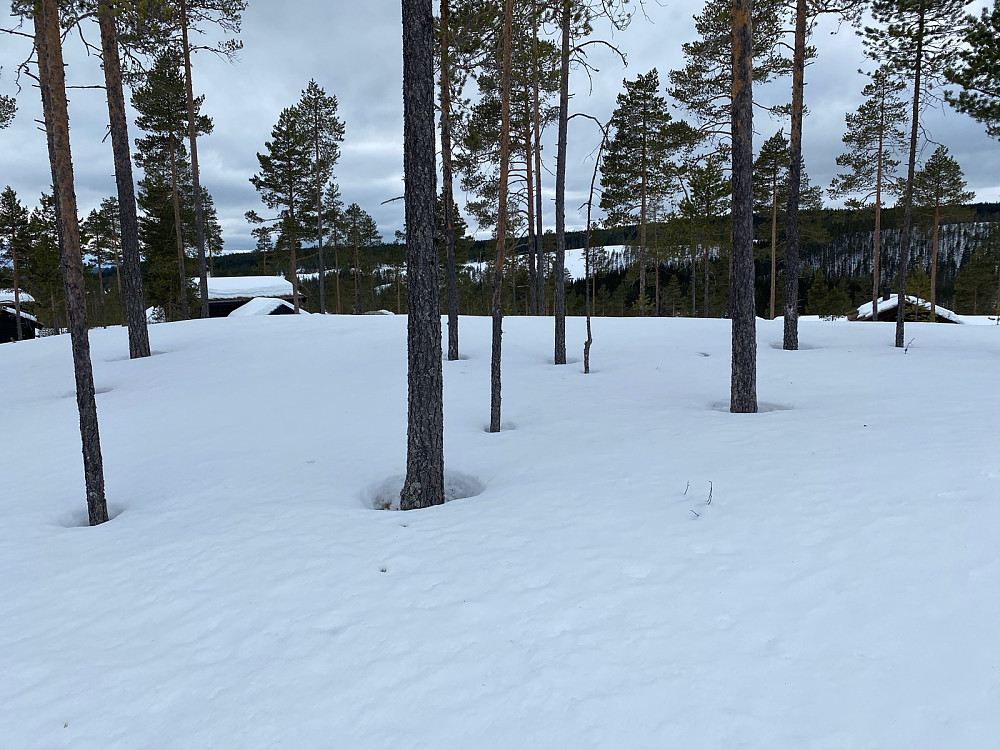 Øst for Litlholm