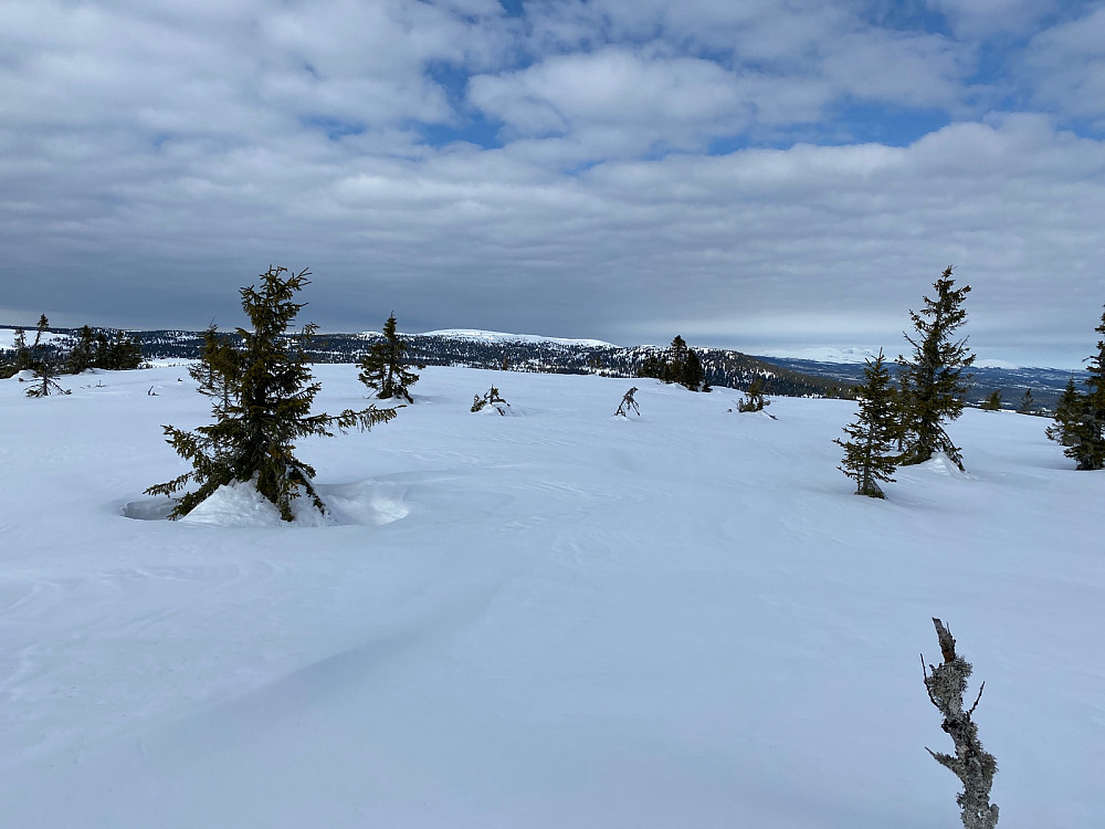 Gråfjellet fra Desetknubben.