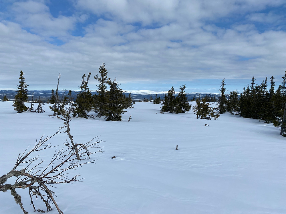 Trysil-Knuts fjellverden fra Desetknubben.