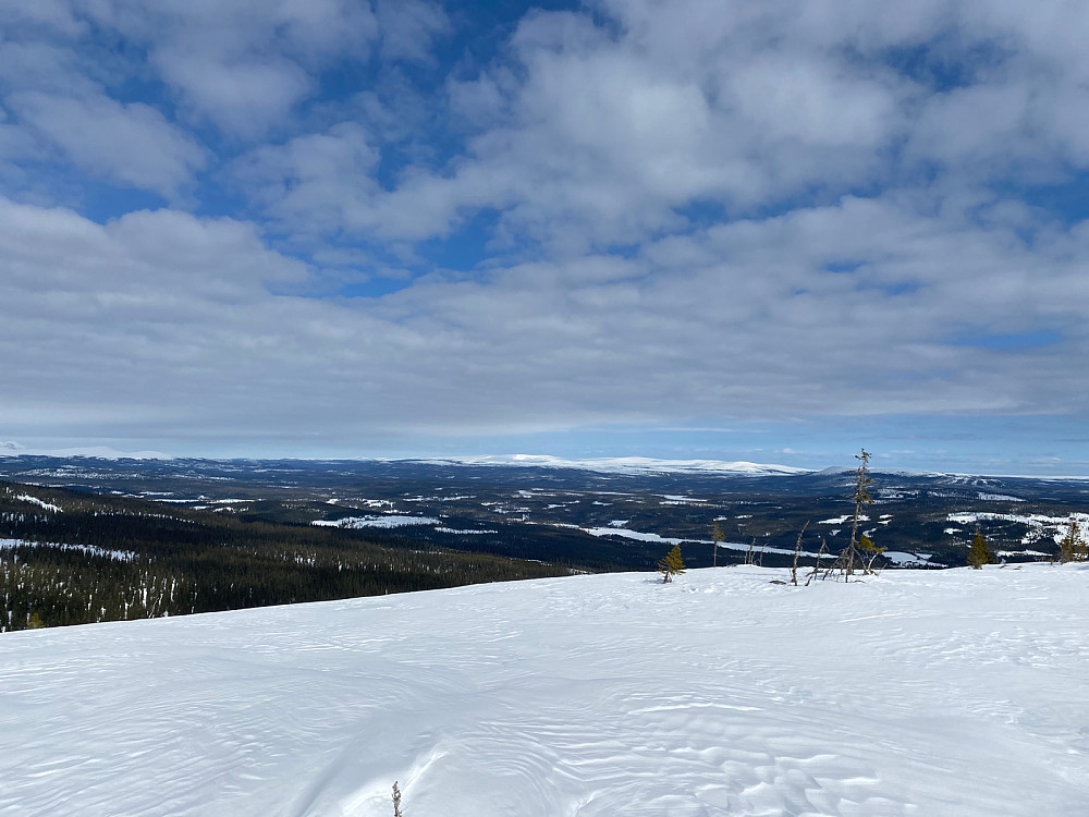 Kampflåhøgda i Trysil-Knuts fjellverden fra ytterst på tuppen av Desetknubben.