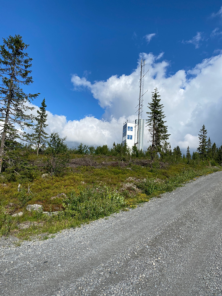 Tårnet ved toppen