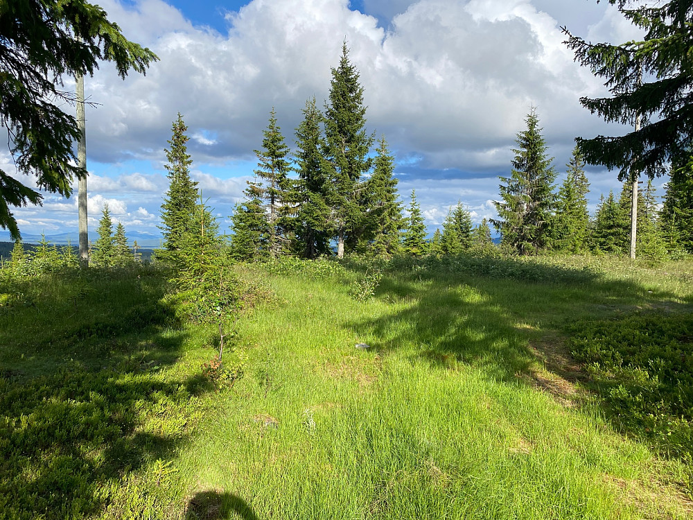 Toppunktet på Tørråsen