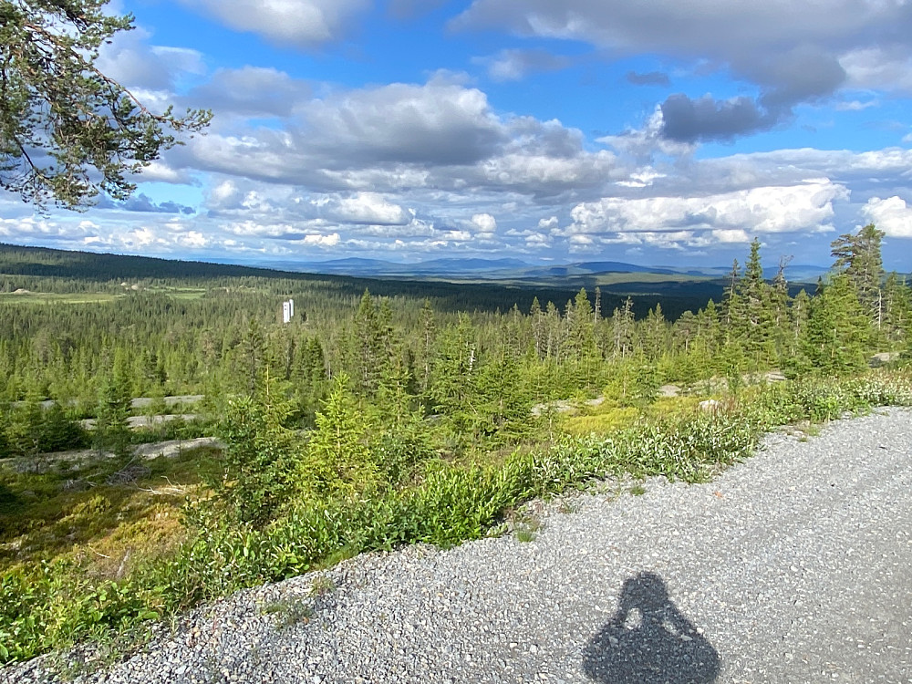 God utsikt mot Osen og Trysilfjellet.