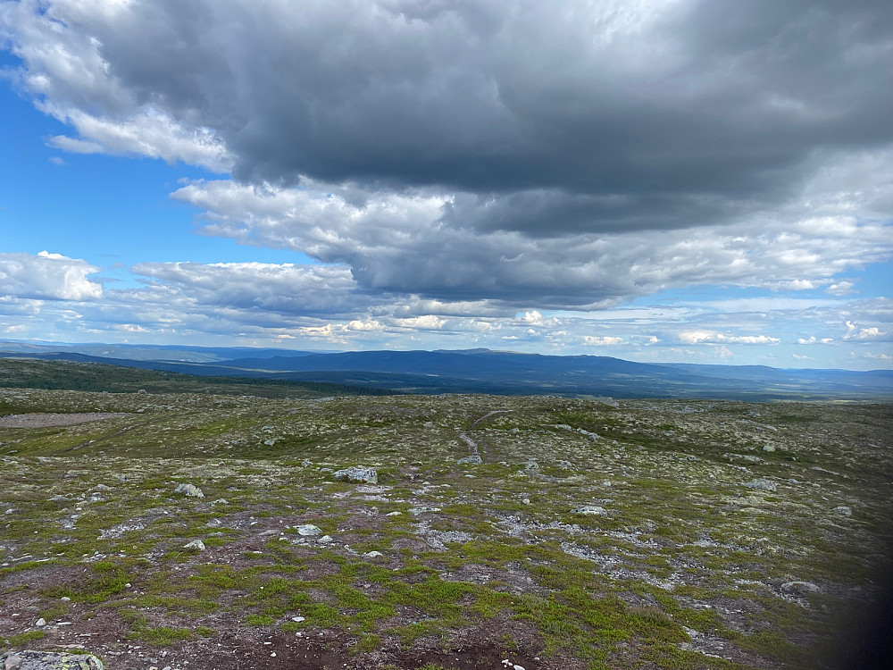 Fra Blikufjellet mot Trysil-Knuts fjellverden med Kampflåhøgda høyest.