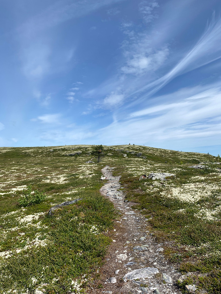 Endelig snaufjell…