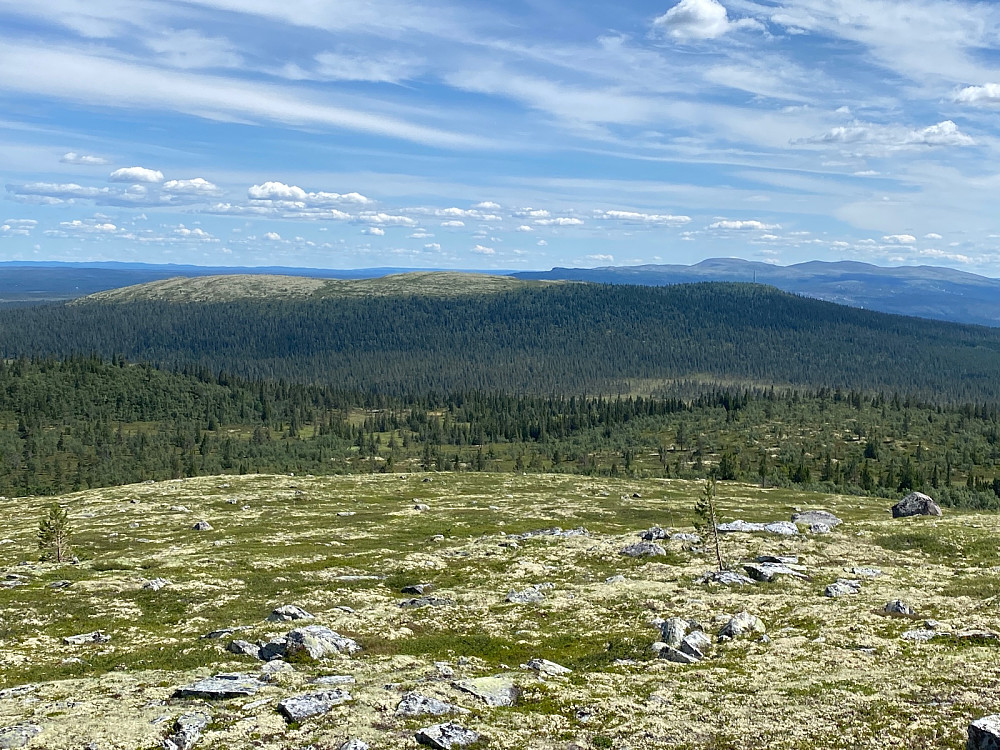 Mot forrige topp, Vardefjell