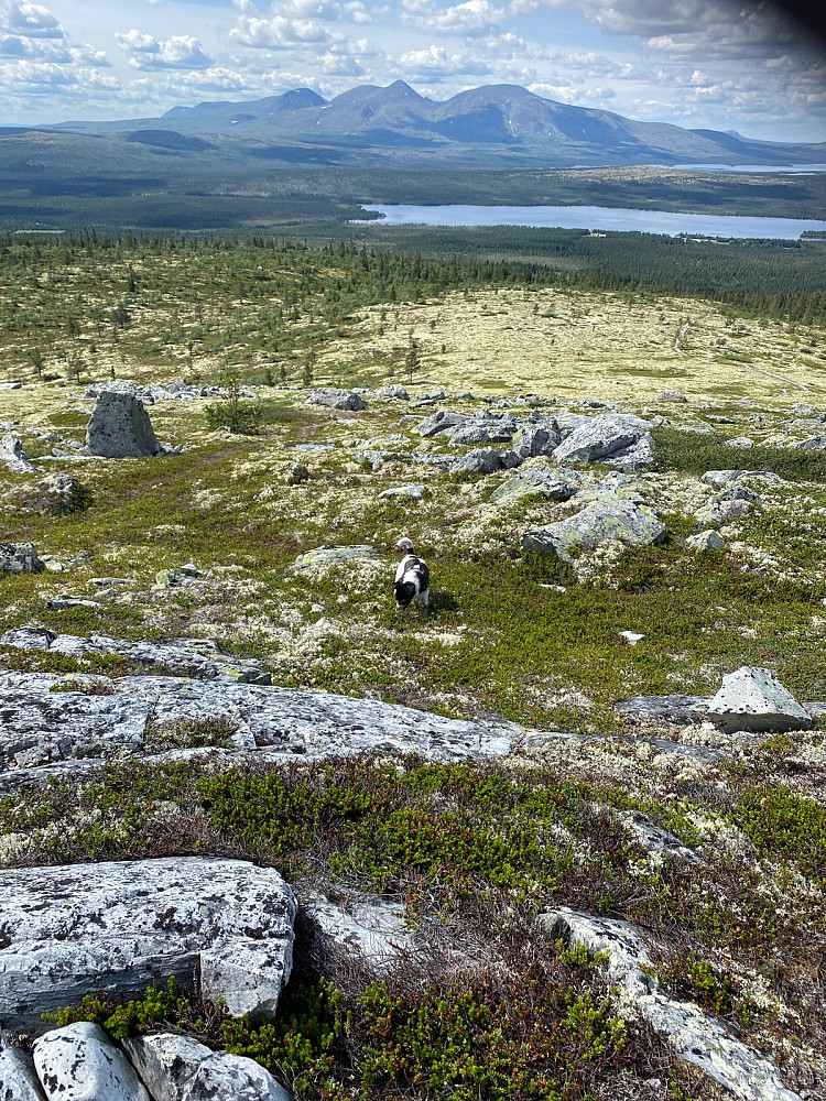 Fortsatt energi til steinleken�