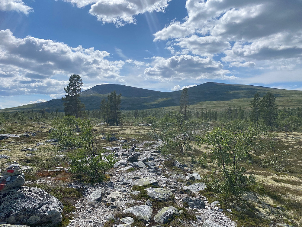 Ettermiddagens første mål til venstre, Gloføkkampen 1325. Et lite stykke igjen…