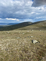 Harex_20230710_64ac4c7f47694.jpg