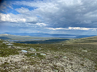 Harex_20230710_64ac4c7fc75c7.jpg