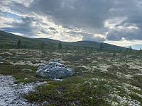 Harex_20230710_64ac4c8055f43.jpg