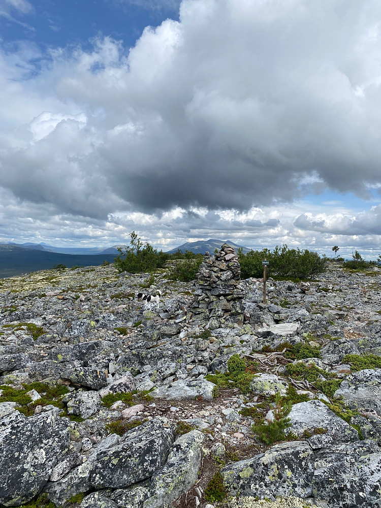 Toppvarden på Renåskarven. Sølen i bakgrunnen