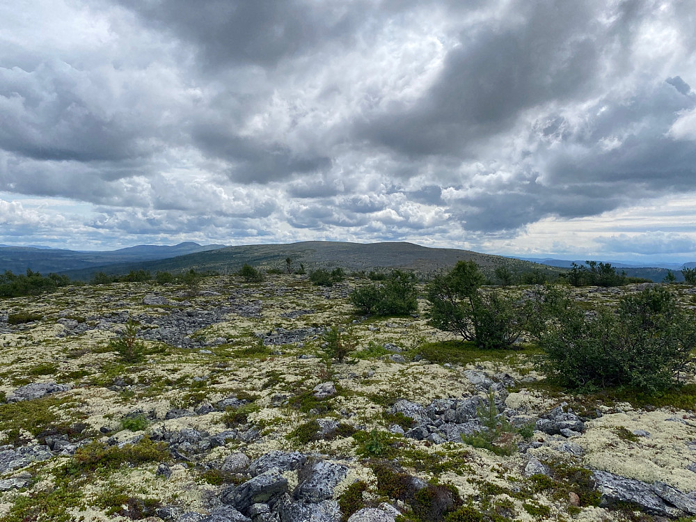 Fra Renåskarven til neste topp som er Renåfjellet på 1026 moh. Deilig vær.