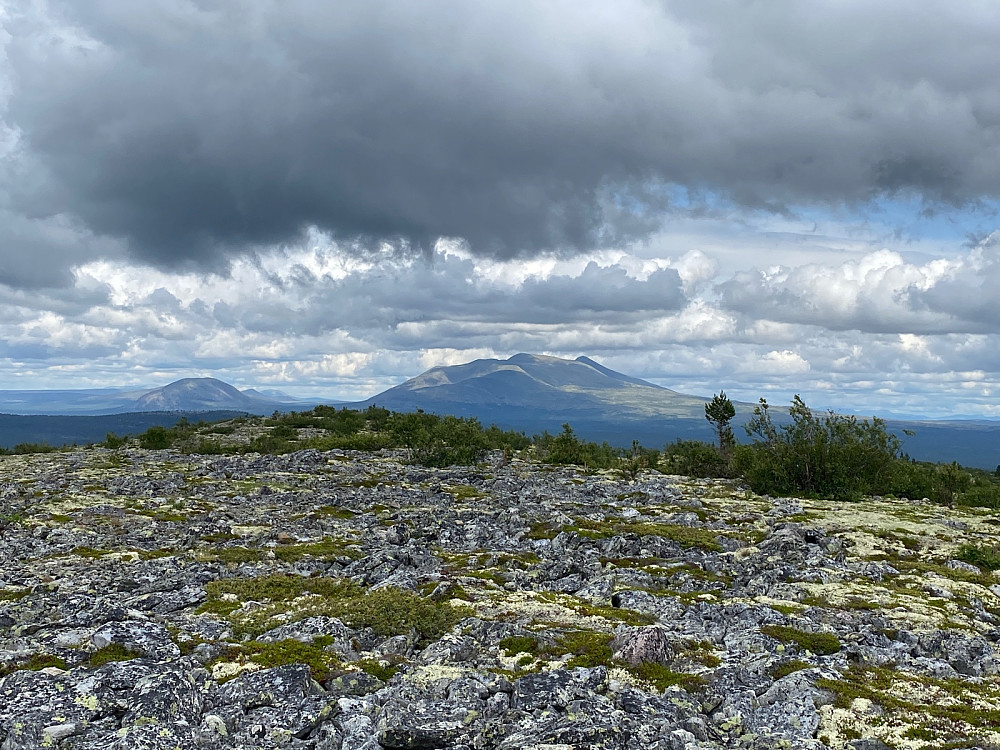 Vakre Sølen rett nord.