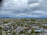 Harex_20230715_64b2a789018c4.jpg