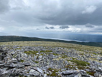 Harex_20230715_64b2a78a98988.jpg