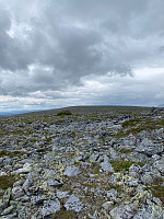 Harex_20230715_64b2a78b1e434.jpg