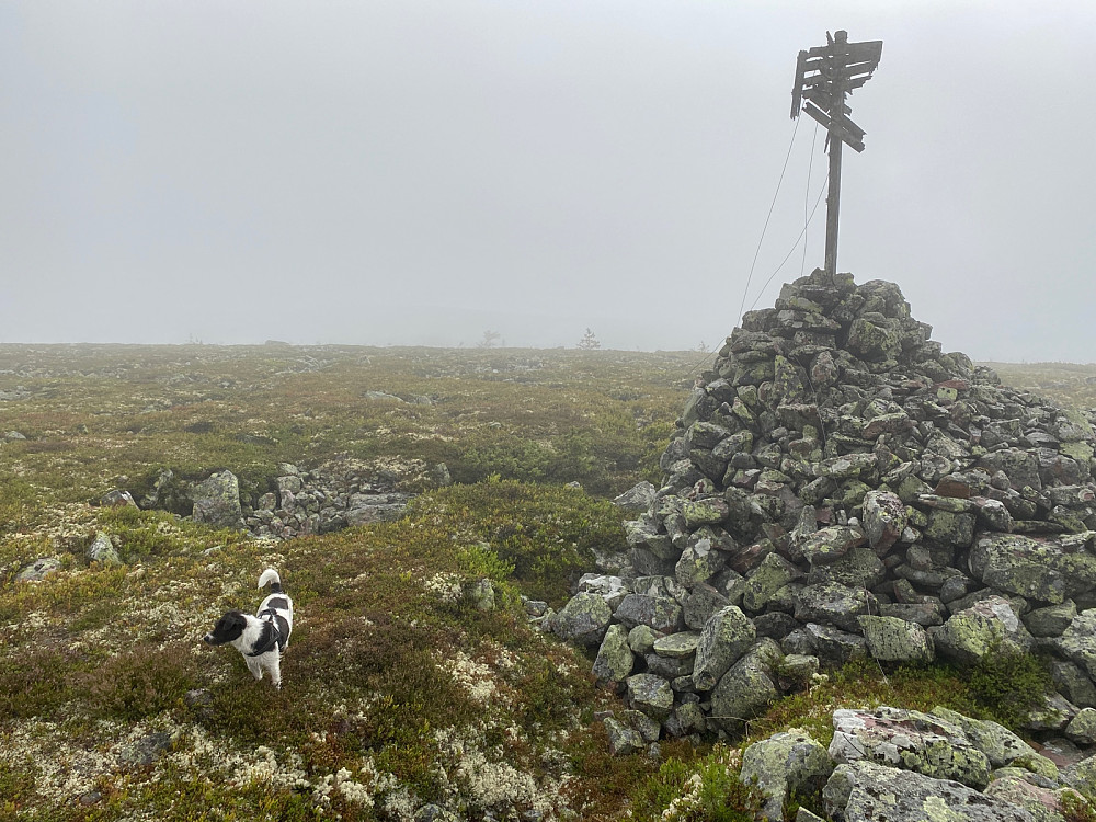 Toppvarden i retning Salen, Sverige.