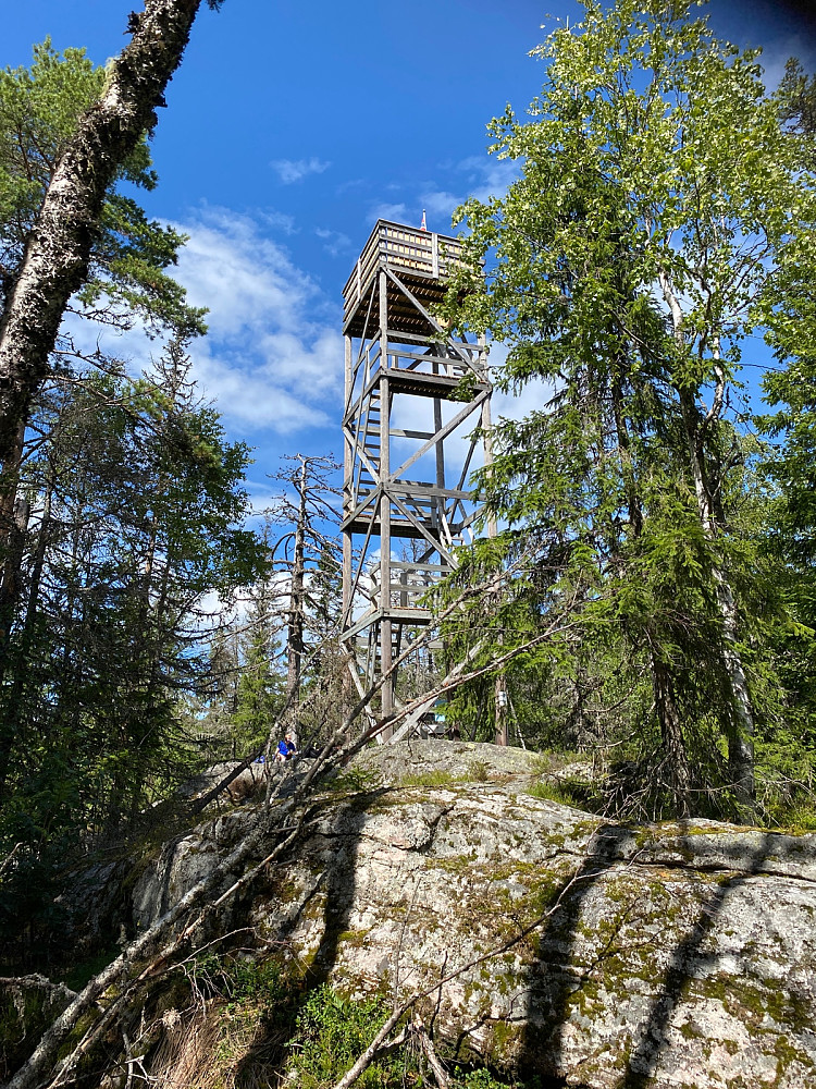 Tårnet på Vardehøgda er trygt å bestige og gir Nes sin beste utsikt.
