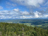 Harex_20230725_64bfeb3668c18.jpg