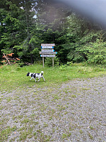 Harex_20230725_64bfeb36e3fd7.jpg