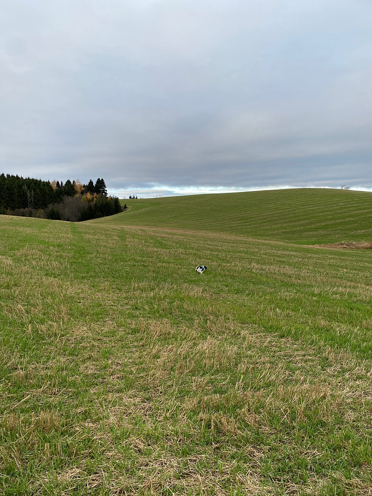 Åpent landskap mot toppen