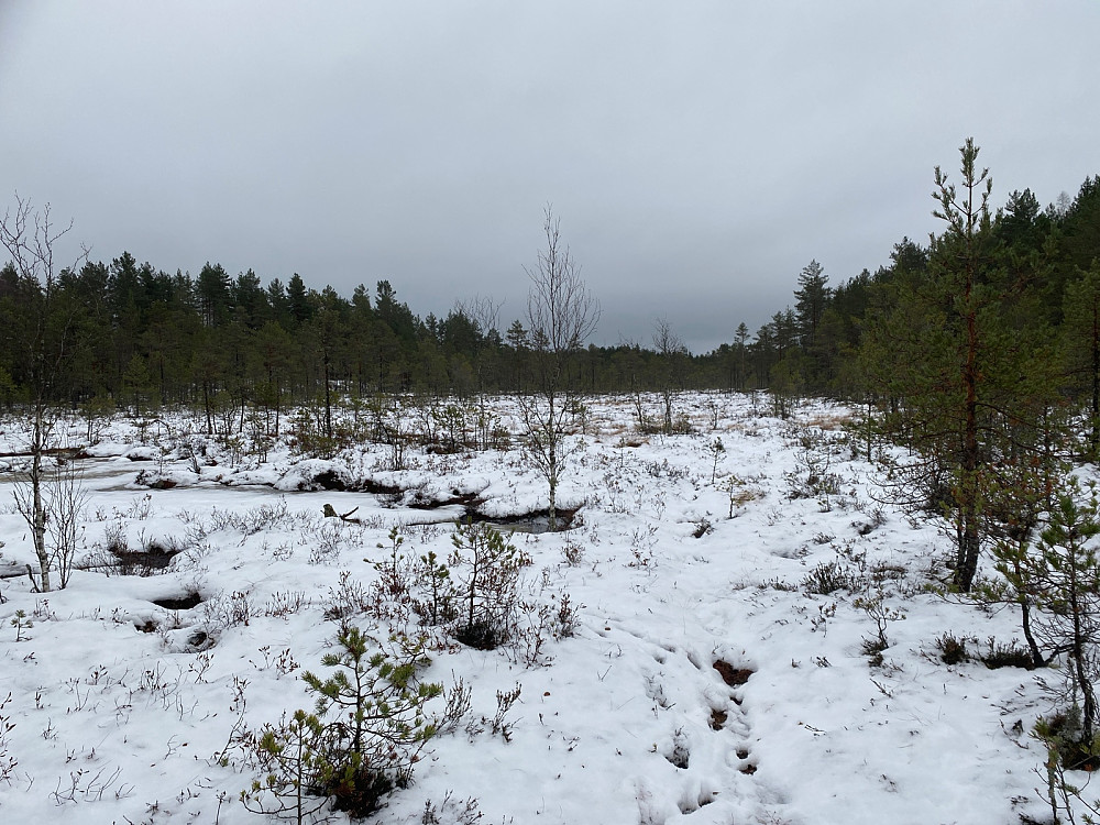 Mordermyra. Best å holde seg unna den…