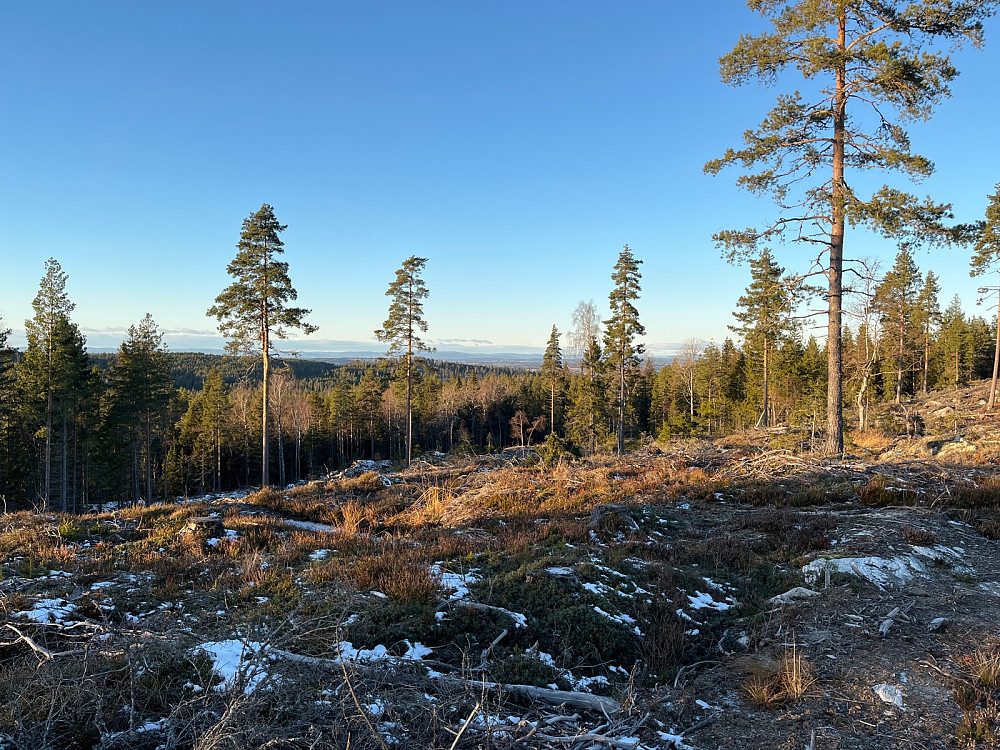 Fra Kjerkehøgda Vedt