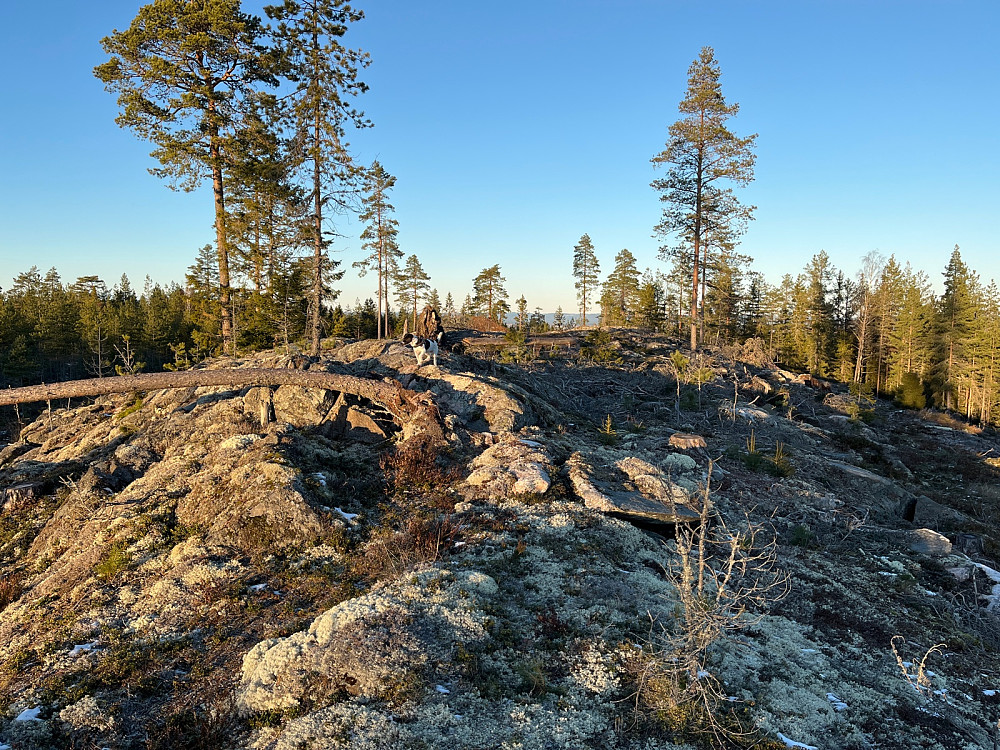 Kjerkehøgda Vest toppunktet