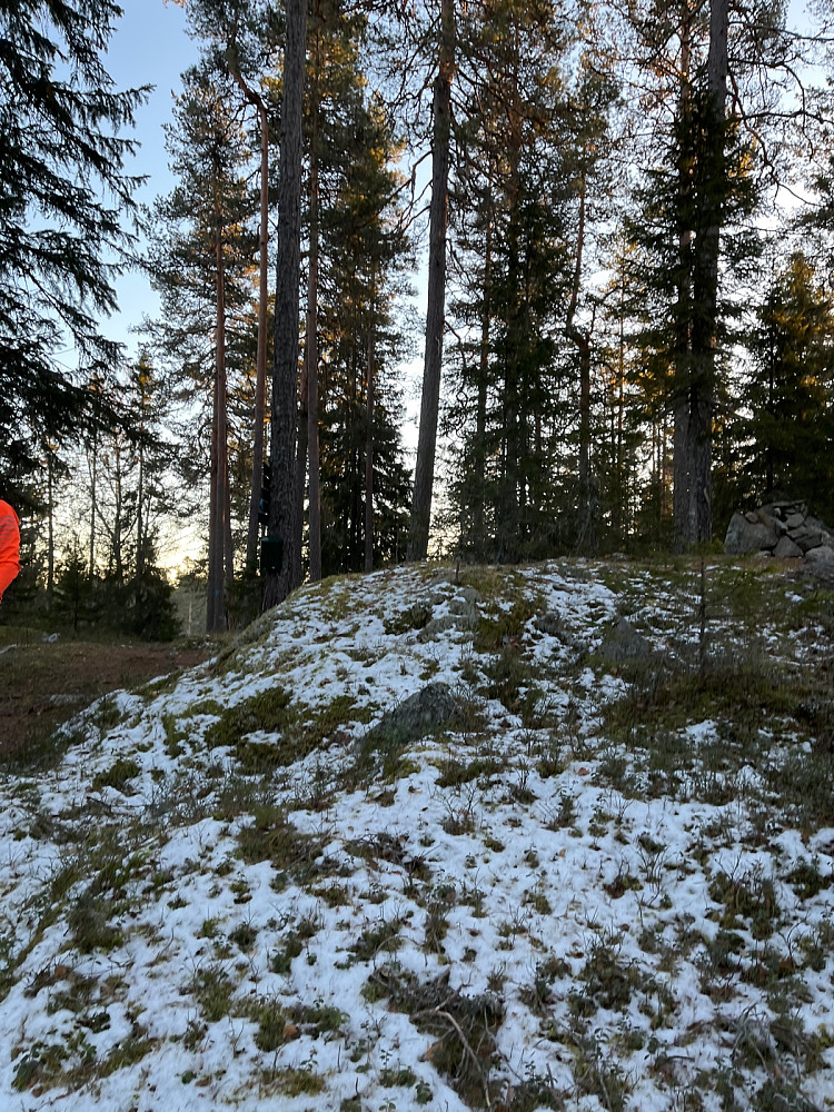 Kjerkehøgda