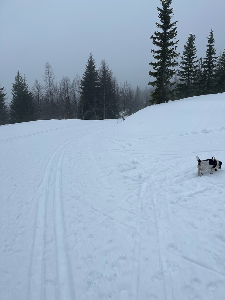 Halvveis i dag…