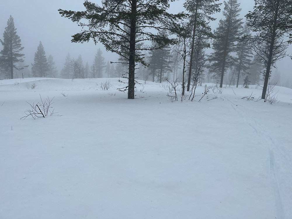 Tjernsbuåsen, min første vinterbestigning