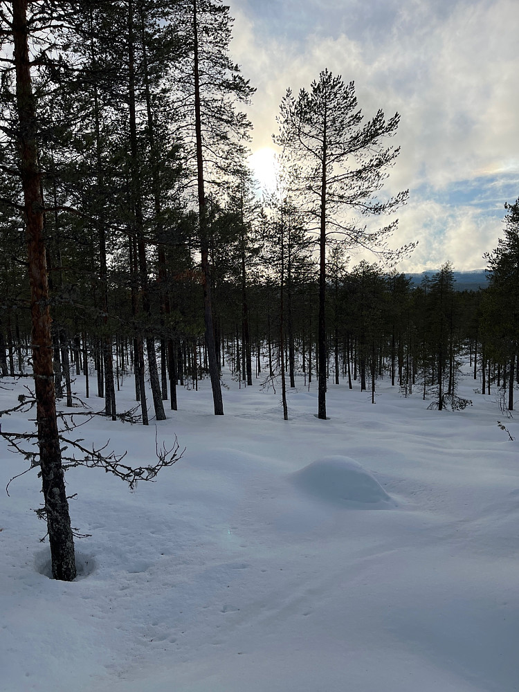 Kom jaggu litt sol også