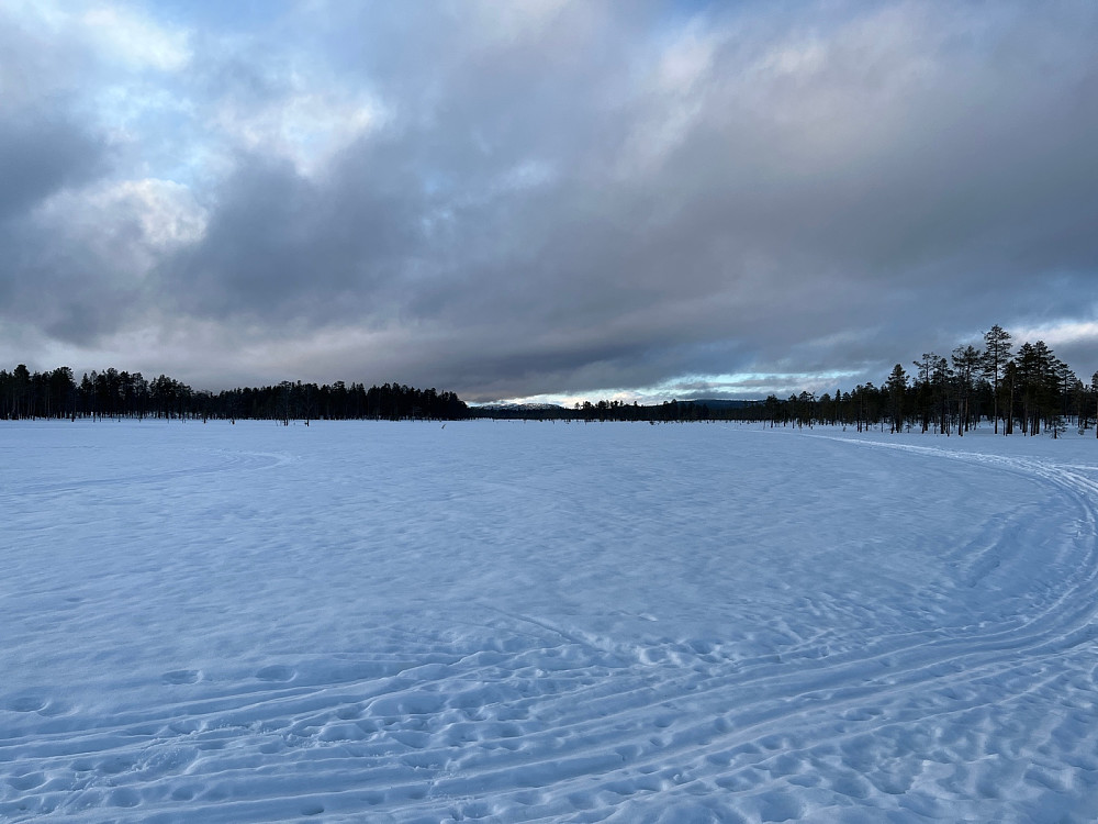 Mot Rendalen fra Blautmyra
