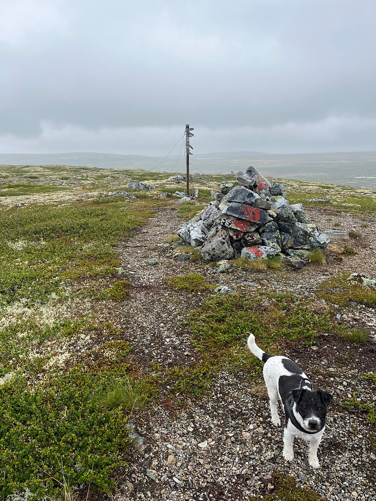 Støtfjellet, kort tid på toppen i regn og vind